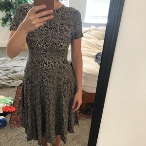 Fitted knee length dress